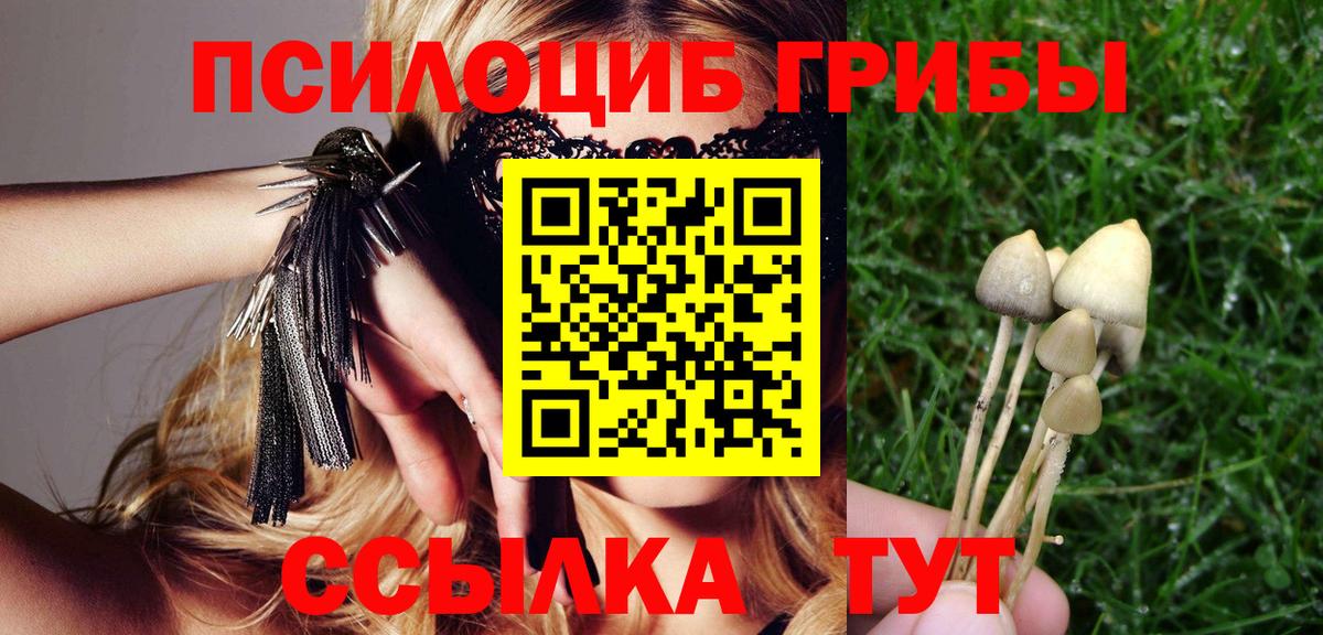 Сатка  Псилоцибиновые грибы прущие грибы  Вход с VPN  Галлюциногенные грибы мицелий 